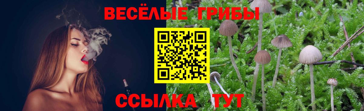 Карачаевск  Галлюциногенные грибы прущие грибы  сколько стоит  Вход с VPN 