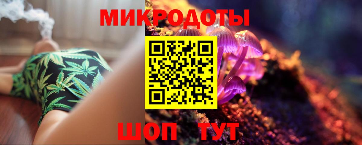 Псилоцибиновые грибы Cubensis Карачаевск
